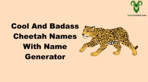 Cool And Badass Cheetah Names With Name Generator