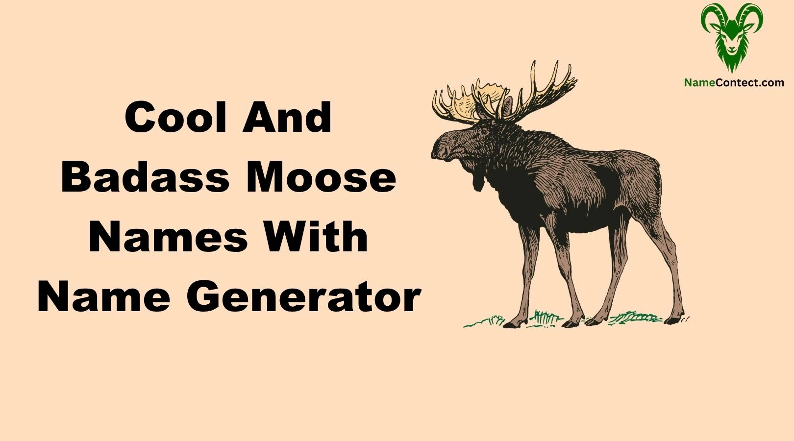 Cool And Badass Moose Names With Name Generator