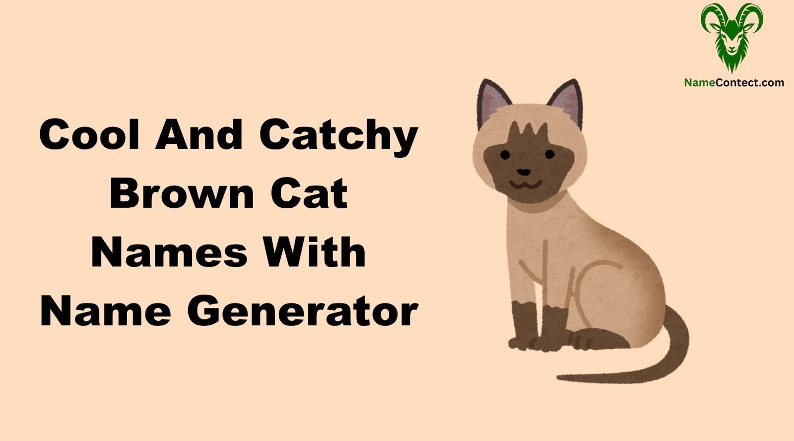 Cool And Catchy Brown Cat Names With Name Generator