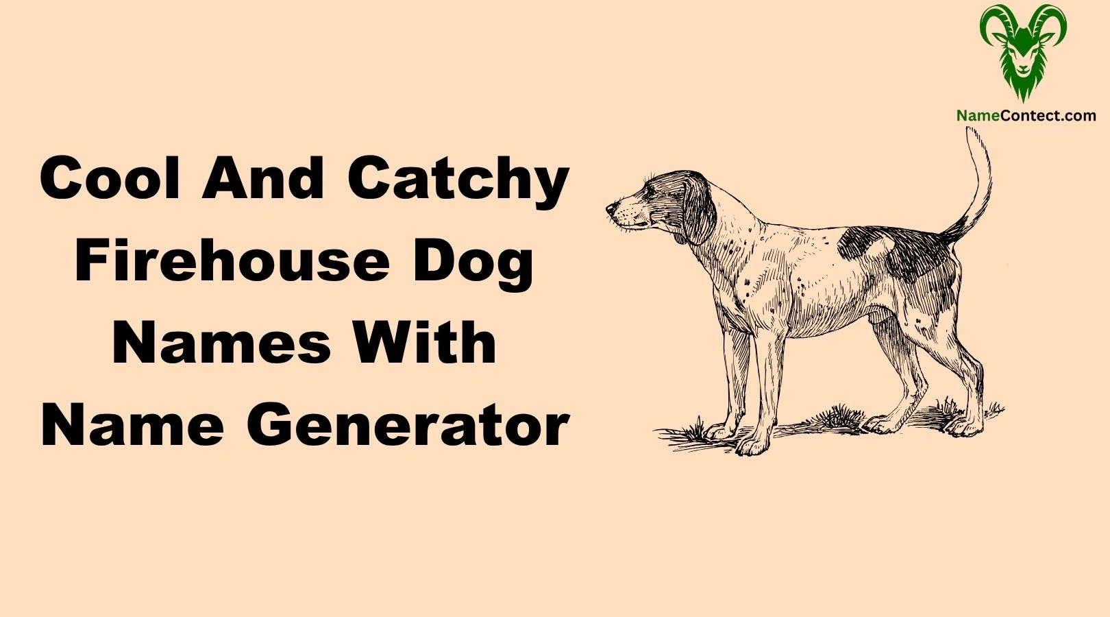 Cool And Catchy Firehouse Dog Names With Name Generator