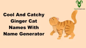Cool And Catchy Ginger Cat Names With Name Generator