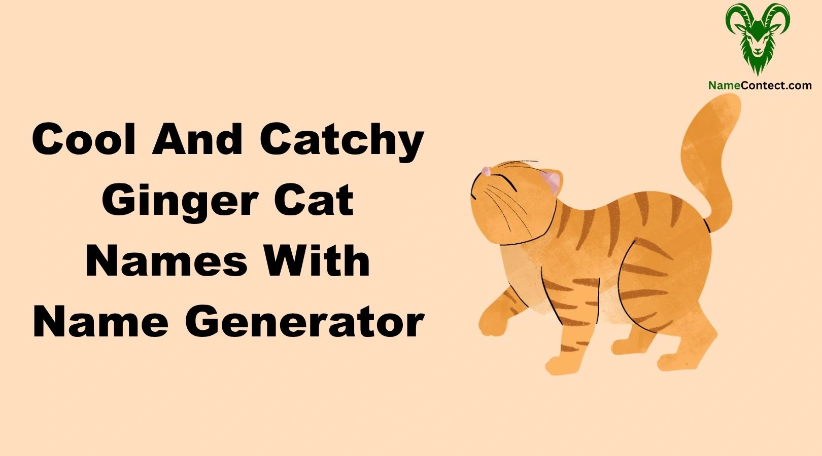 Cool And Catchy Ginger Cat Names With Name Generator