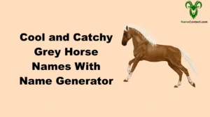 Cool and Catchy Grey Horse Names With Name Generator