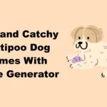 Cool and Catchy Maltipoo Dog Names With Name Generator