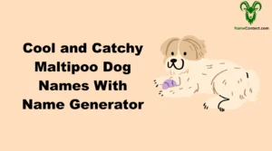 Cool and Catchy Maltipoo Dog Names With Name Generator