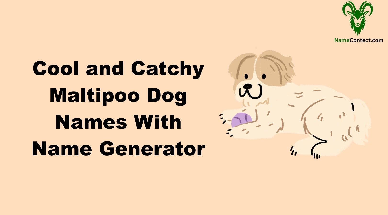 Cool and Catchy Maltipoo Dog Names With Name Generator