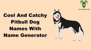 Cool And Catchy Pitbull Dog Names With Name Generator