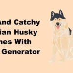 Cool And Catchy Siberian Husky Names With Name Generator