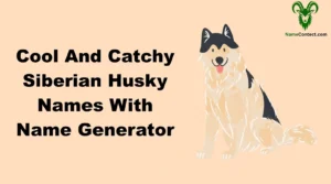 Cool And Catchy Siberian Husky Names With Name Generator