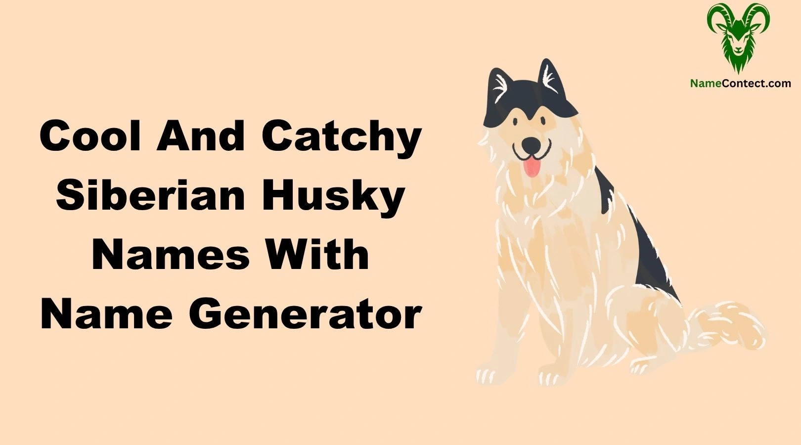 Cool And Catchy Siberian Husky Names With Name Generator