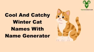 Cool And Catchy Winter Cat Names With Name Generator