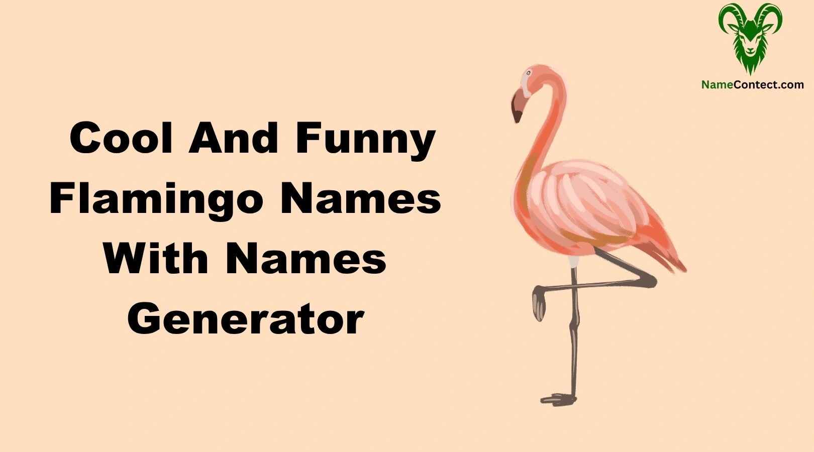 Cool And Funny Flamingo Names With Names Generator