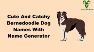 Cute And Catchy Bernedoodle Dog Names With Name Generator