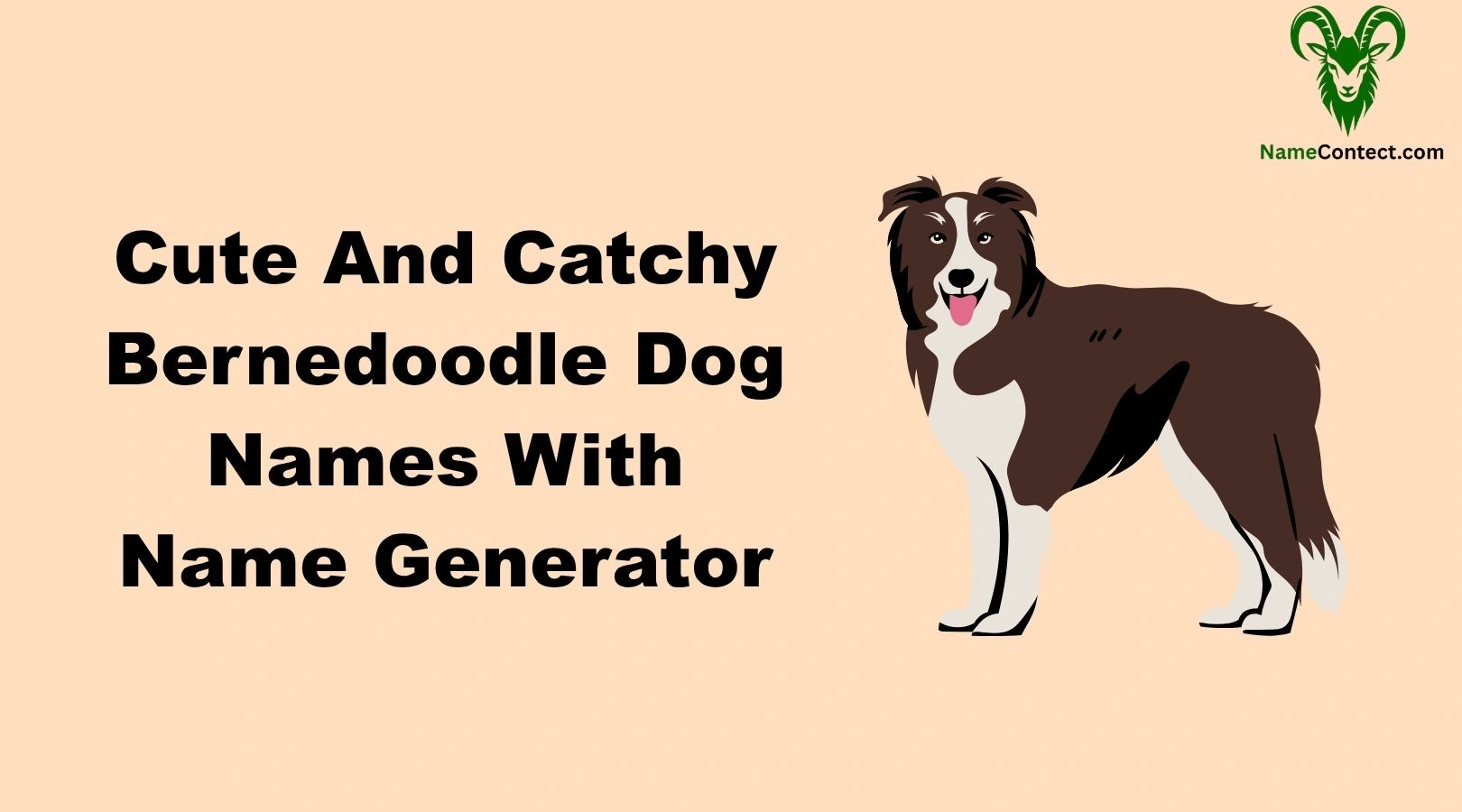 Cute And Catchy Bernedoodle Dog Names With Name Generator