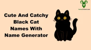 Cute And Catchy Black Cat Names With Name Generator