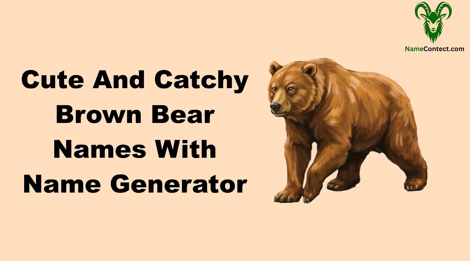 Cute And Catchy Brown Bear Names With Name Generator