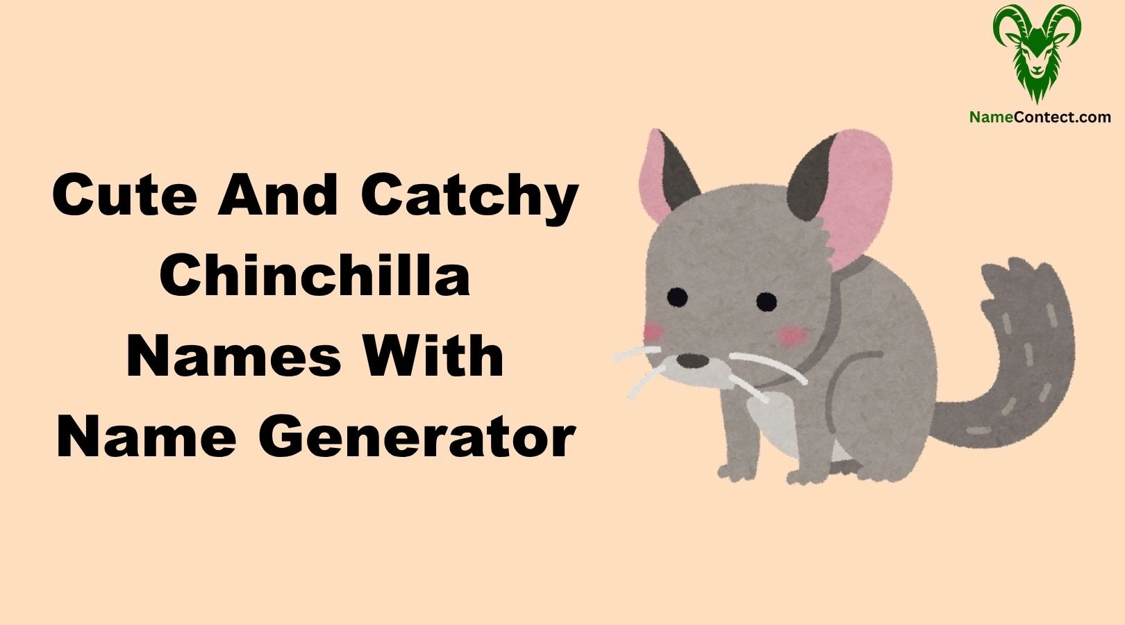 Cute And Catchy Chinchilla Names With Name Generator
