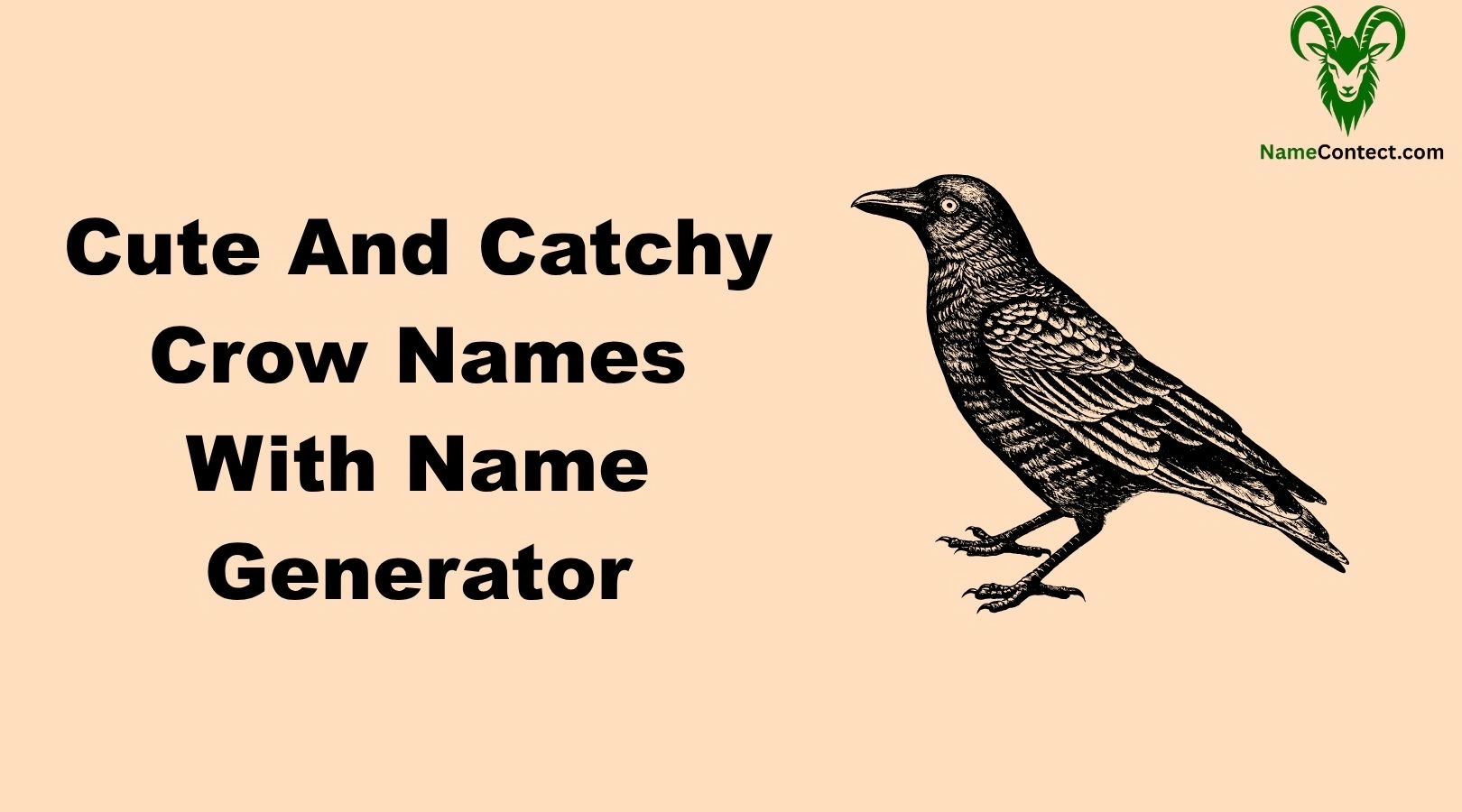 Cute And Catchy Crow Names With Name Generator