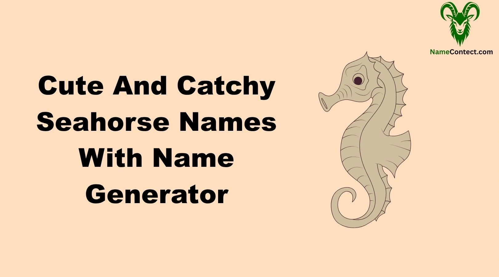 Cute And Catchy Seahorse Names With Name Generator
