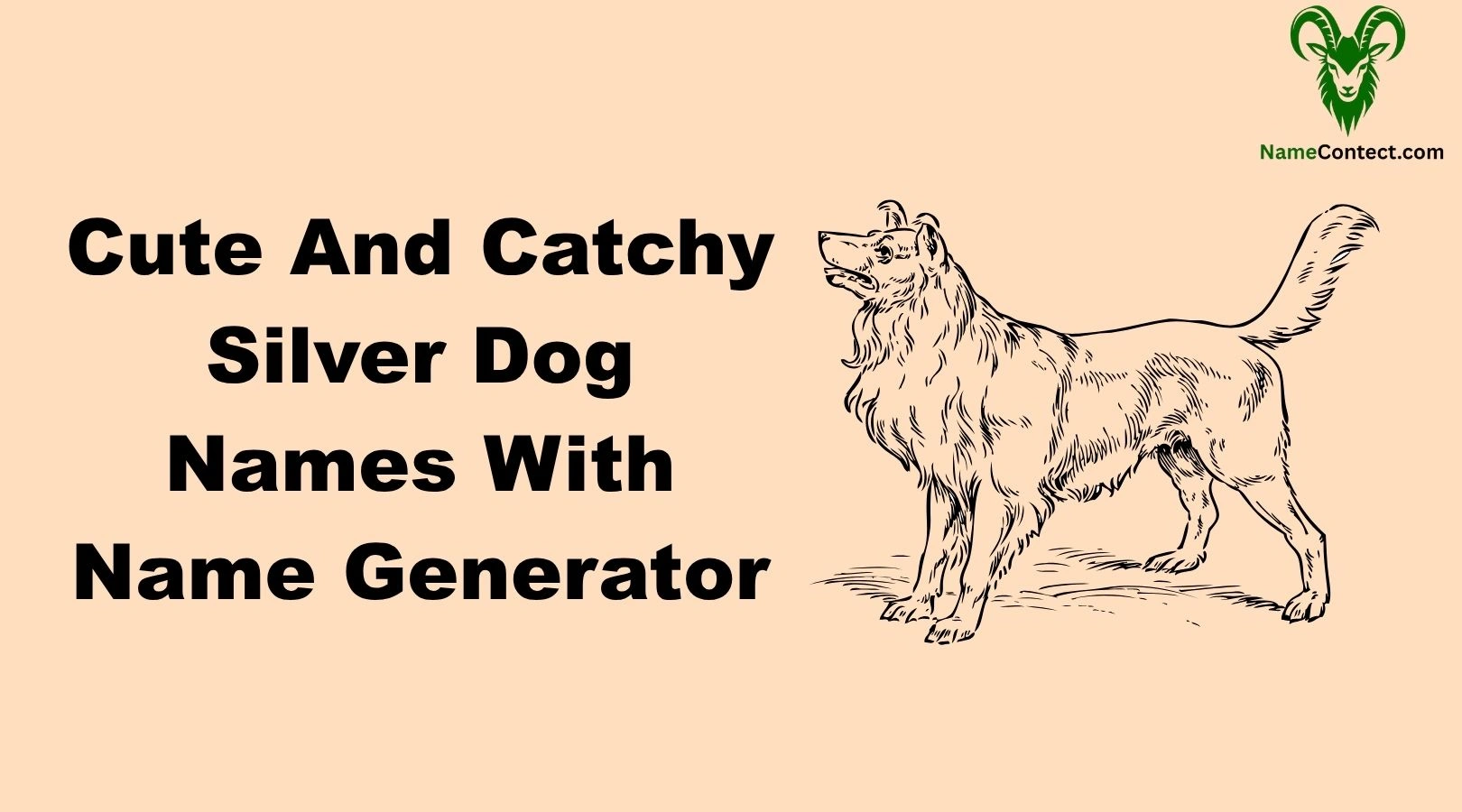 Cute And Catchy Silver Dog Names With Name Generator