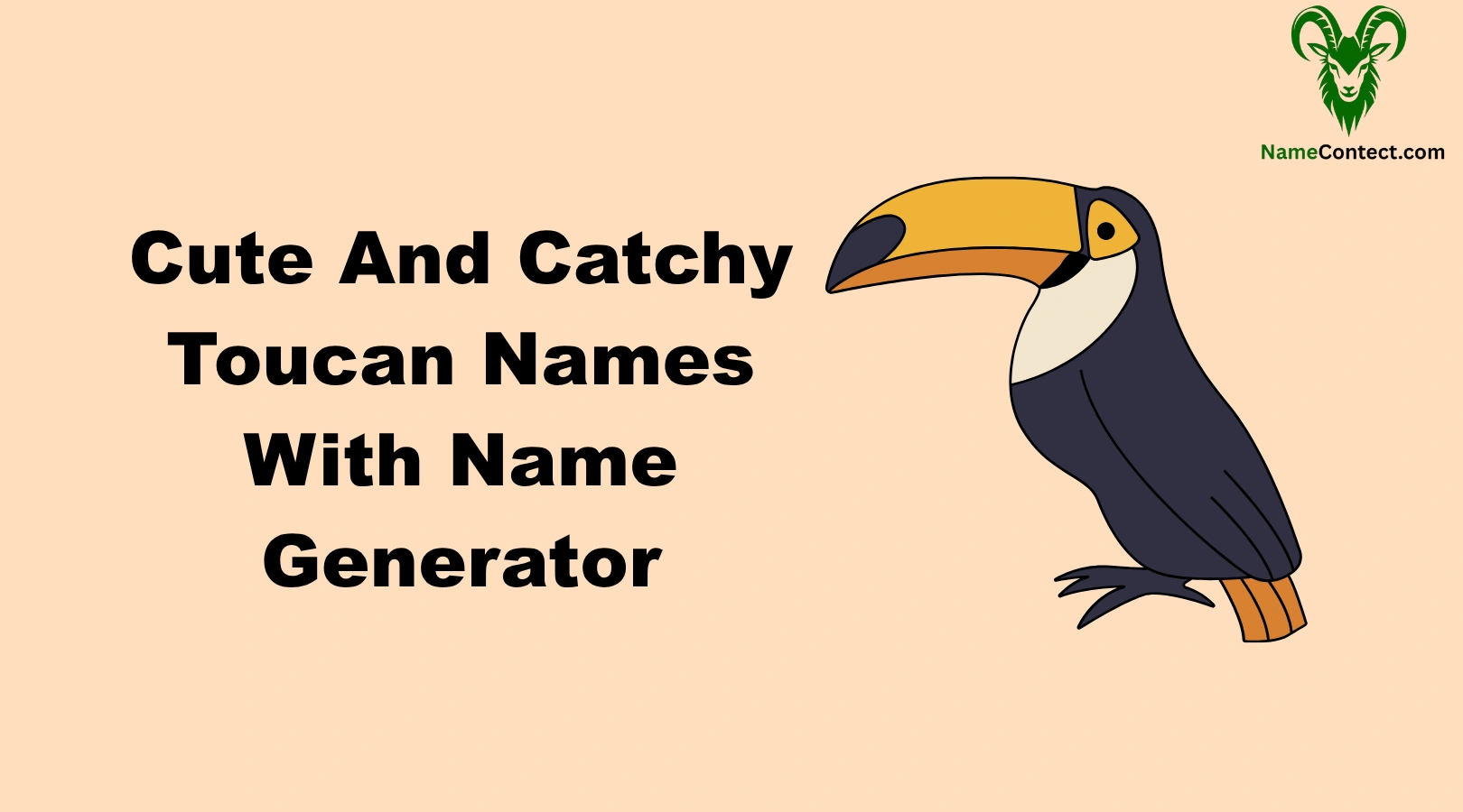 Cute And Catchy Toucan Names With Name Generator