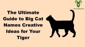 The Ultimate Guide to Big Cat Names Creative Ideas for Your Tiger